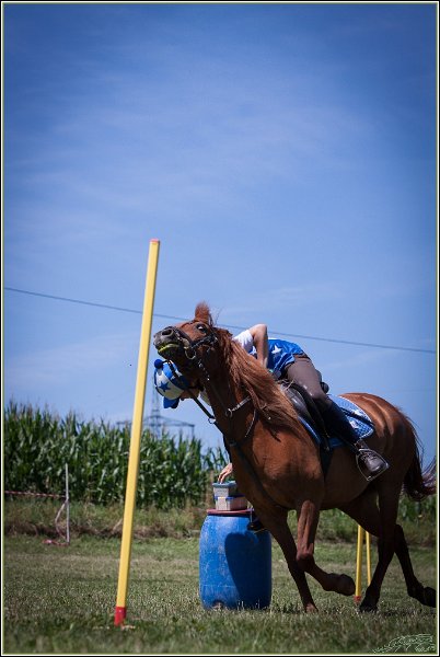 Mounted Games 216